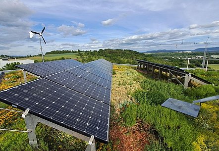 Solar neben Grün